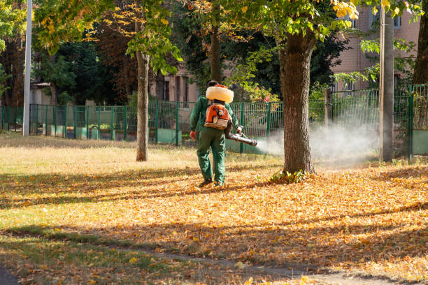 Pest Prevention Services in Choctaw Lake, OH