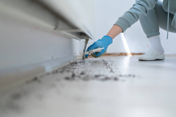 Best Affordable Pest Control Services  in Choctaw Lake, OH